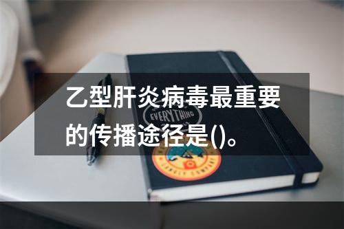 乙型肝炎病毒最重要的传播途径是()。