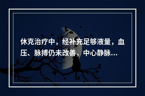 休克治疗中，经补充足够液量，血压、脉搏仍未改善，中心静脉压＞