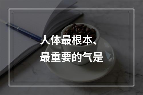 人体最根本、最重要的气是