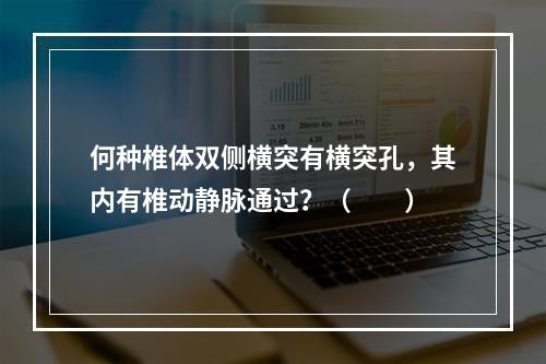 何种椎体双侧横突有横突孔，其内有椎动静脉通过？（　　）