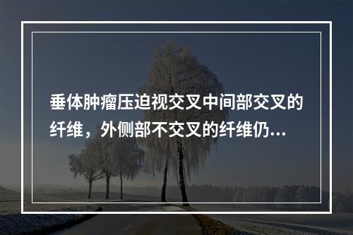 垂体肿瘤压迫视交叉中间部交叉的纤维，外侧部不交叉的纤维仍健全