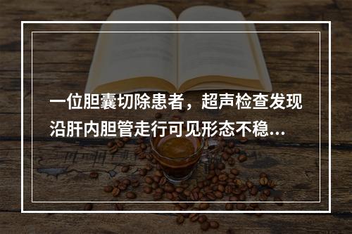 一位胆囊切除患者，超声检查发现沿肝内胆管走行可见形态不稳定