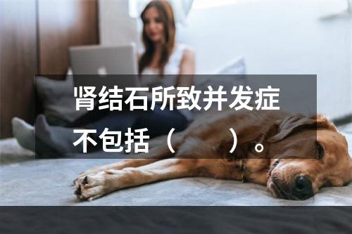 肾结石所致并发症不包括（　　）。