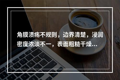 角膜溃疡不规则，边界清楚，浸润密度浓淡不一，表面粗糙干燥，底