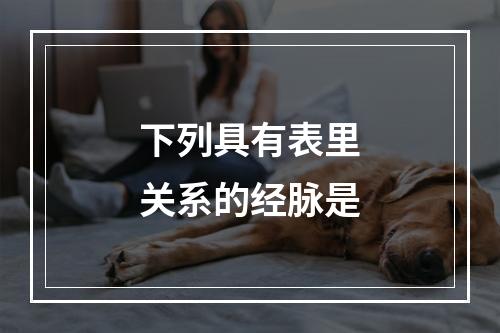 下列具有表里关系的经脉是