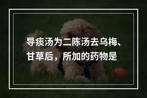 导痰汤为二陈汤去乌梅、甘草后，所加的药物是