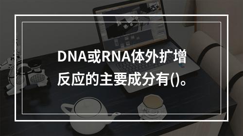 DNA或RNA体外扩增反应的主要成分有()。