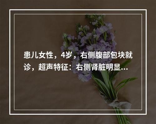 患儿女性，4岁，右侧腹部包块就诊，超声特征：右侧肾脏明显增