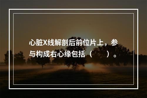 心脏X线解剖后前位片上，参与构成右心缘包括（　　）。