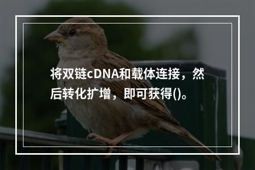 将双链cDNA和载体连接，然后转化扩增，即可获得()。