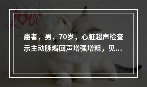 患者，男，70岁，心脏超声检查示主动脉瓣回声增强增粗，见团