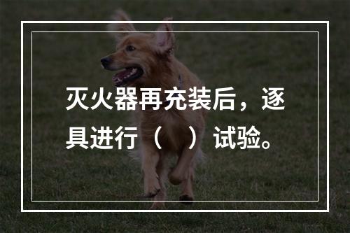 灭火器再充装后，逐具进行（　）试验。