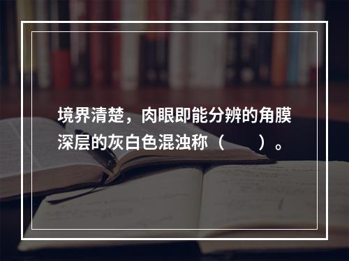 境界清楚，肉眼即能分辨的角膜深层的灰白色混浊称（　　）。