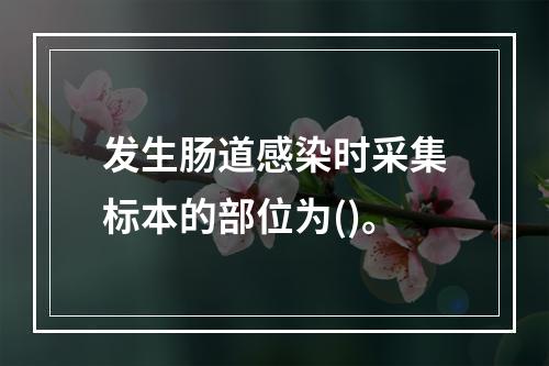 发生肠道感染时采集标本的部位为()。