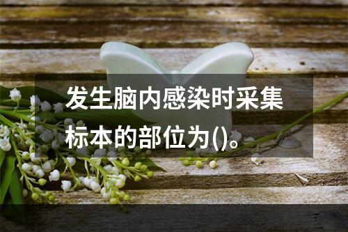 发生脑内感染时采集标本的部位为()。