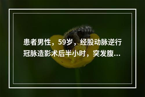 患者男性，59岁，经股动脉逆行冠脉造影术后半小时，突发腹痛