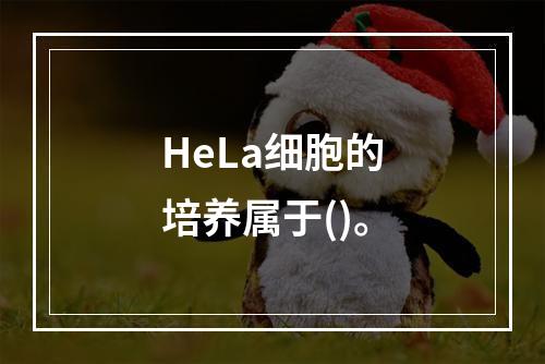 HeLa细胞的培养属于()。