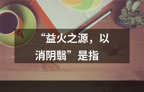 “益火之源，以消阴翳”是指