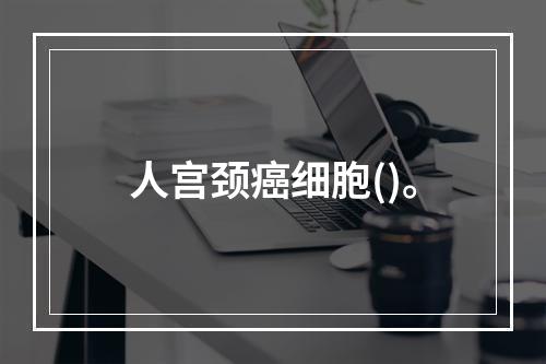 人宫颈癌细胞()。