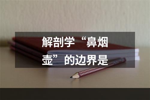 解剖学“鼻烟壶”的边界是