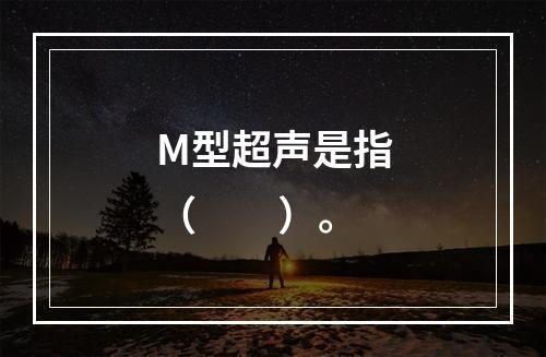 M型超声是指（　　）。