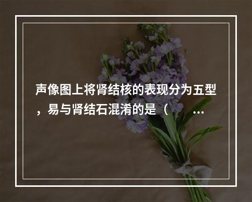 声像图上将肾结核的表现分为五型，易与肾结石混淆的是（　　）