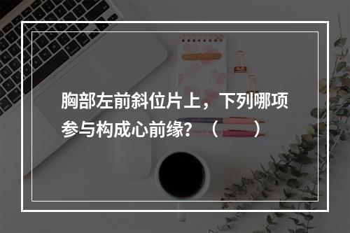 胸部左前斜位片上，下列哪项参与构成心前缘？（　　）