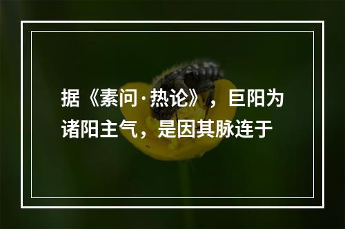 据《素问·热论》，巨阳为诸阳主气，是因其脉连于