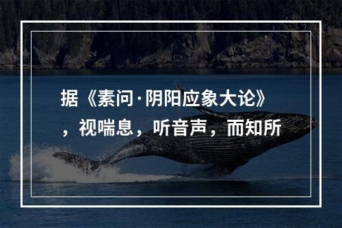 据《素问·阴阳应象大论》，视喘息，听音声，而知所