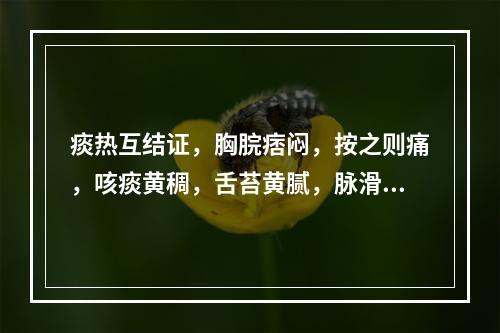 痰热互结证，胸脘痞闷，按之则痛，咳痰黄稠，舌苔黄腻，脉滑数，