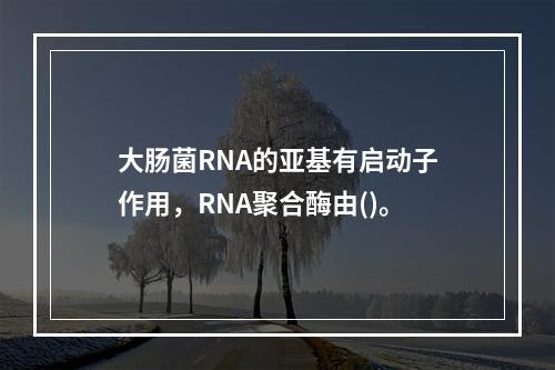 大肠菌RNA的亚基有启动子作用，RNA聚合酶由()。