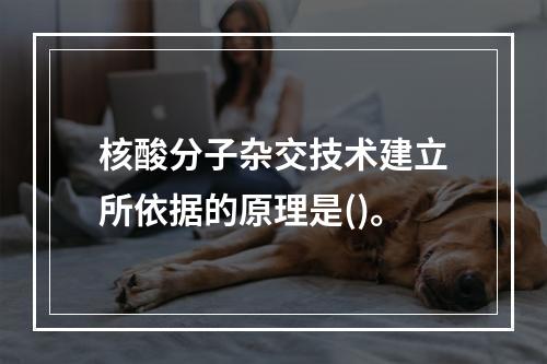 核酸分子杂交技术建立所依据的原理是()。