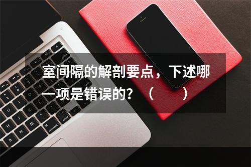 室间隔的解剖要点，下述哪一项是错误的？（　　）