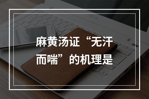 麻黄汤证“无汗而喘”的机理是