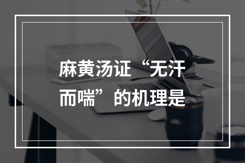 麻黄汤证“无汗而喘”的机理是