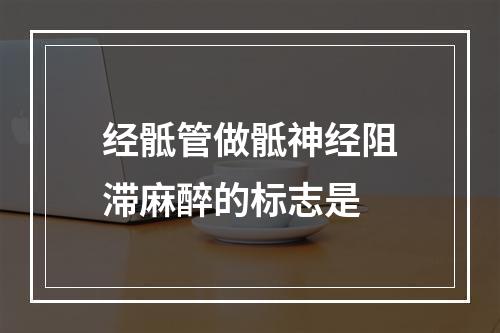 经骶管做骶神经阻滞麻醉的标志是