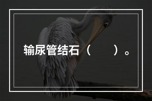 输尿管结石（　　）。