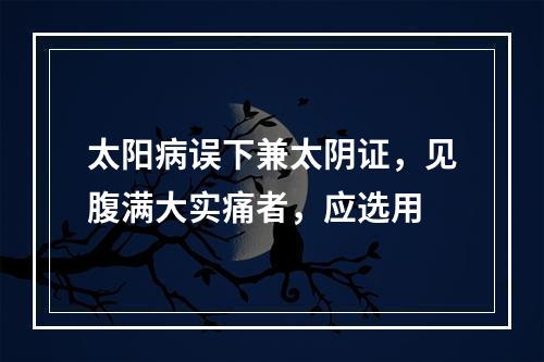 太阳病误下兼太阴证，见腹满大实痛者，应选用