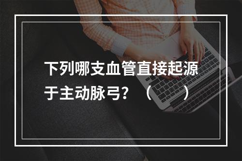 下列哪支血管直接起源于主动脉弓？（　　）