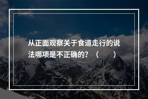 从正面观察关于食道走行的说法哪项是不正确的？（　　）