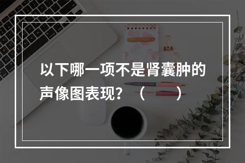 以下哪一项不是肾囊肿的声像图表现？（　　）