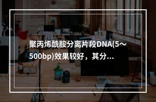 聚丙烯酰胺分离片段DNA(5～500bp)效果较好，其分辨力