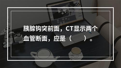 胰腺钩突前面，CT显示两个血管断面，应是（　　）。