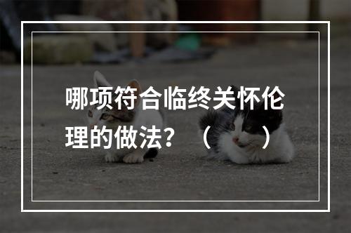 哪项符合临终关怀伦理的做法？（　　）