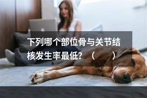 下列哪个部位骨与关节结核发生率最低？（　　）