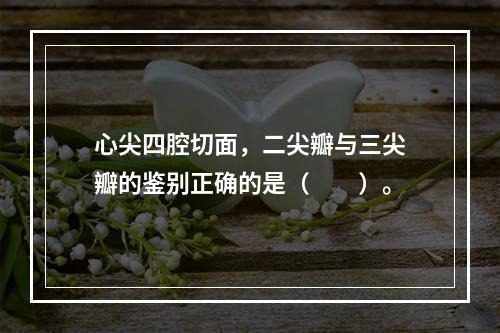 心尖四腔切面，二尖瓣与三尖瓣的鉴别正确的是（　　）。