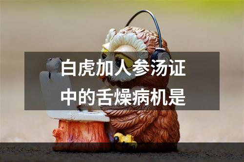 白虎加人参汤证中的舌燥病机是