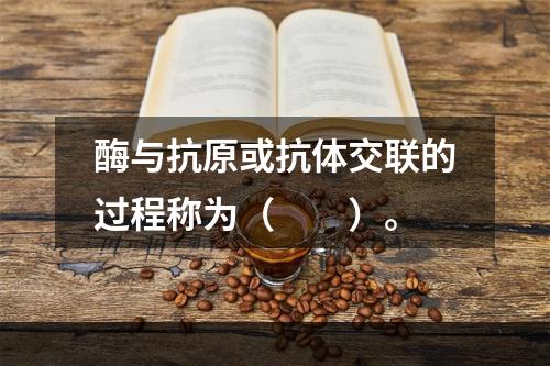 酶与抗原或抗体交联的过程称为（　　）。