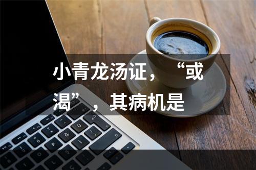 小青龙汤证，“或渴”，其病机是