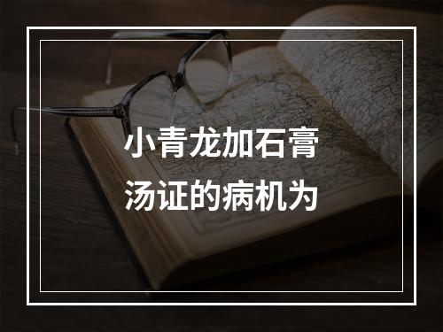 小青龙加石膏汤证的病机为